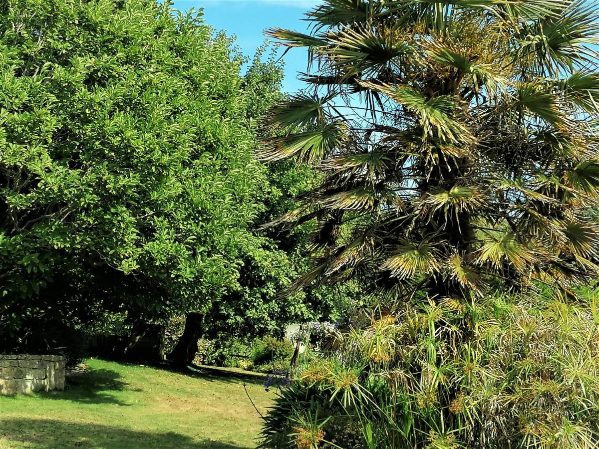 Les Terrasses Du Ris Bed and Breakfast Douarnenez Εξωτερικό φωτογραφία